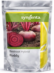 Syngenta Ruddy Hybrid Beet Root Seeds — High Yield Red Beet Variety (200g)