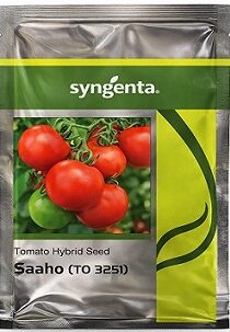 Syngenta Saaho (TO 3251) Hybrid Tomato Seed — High Yield Red Tomato Variety (3500 Seeds)