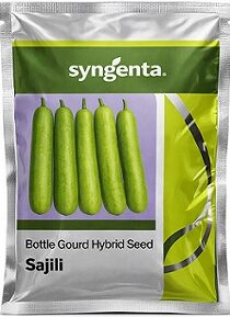 Syngenta Sajili Hybrid Bottle Gourd Seeds — High Yield Green Variety (100g)