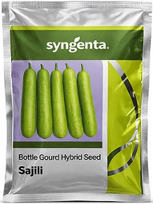 Syngenta Sajili Hybrid Bottle Gourd Seeds — High Yield Green Variety (100g)