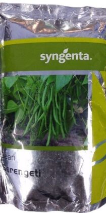 Syngenta Serengeti Bean Hybrid Seed