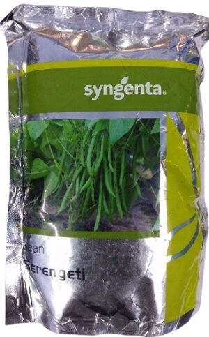 Syngenta Serengeti Bean Hybrid Seed