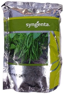 Syngenta Serengeti Bean Hybrid Seed — High‑Yield, Uniform Green Bean Variety (500g)