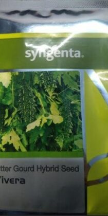 Syngenta Seeds