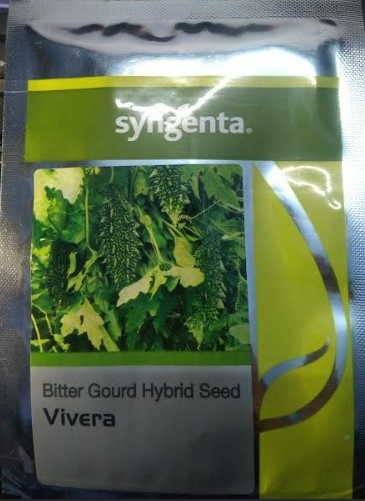 Syngenta Seeds