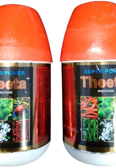 Theeta