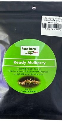 Tantora Shrimp Mulberry