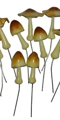Terrariums Miniature Mushroom — Decorative Resin Accessories for Terrarium & Aquascaping