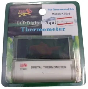 Transparent Digital Thermometer