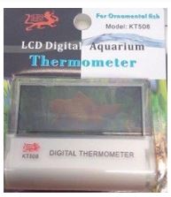 Transparent Digital Thermometer