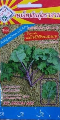 Triple A Red Siberian Kale