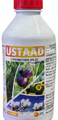 UPL Ustaad