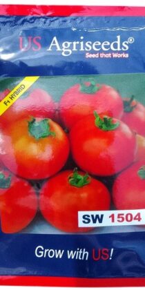 US Agriseeds SW 1504 Hybrid Tomato Seeds
