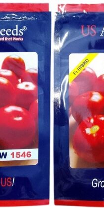Us Agriseeds SW 1546 Hybrid Tomato Seeds
