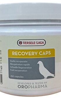 Versele Laga Oropharma Recovery Caps