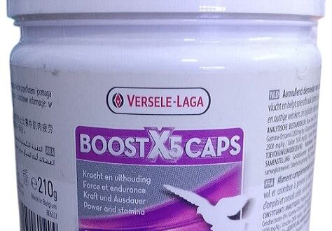 Versele Laga Oropharma Boost X5 Capules
