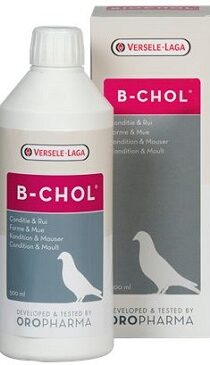 Versele Laga Oropharma B CHOL