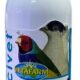 Vetafarm Coccivet — Treatment for Coccidiosis in Birds (50ml)