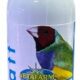 Vetafarm Scatt — Mite Treatment for Birds (50ml)
