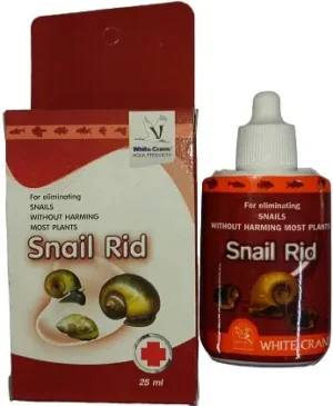 White Crane Snail Rid