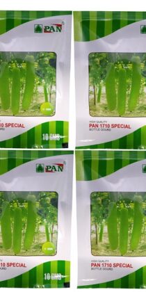 Pan 1710