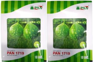 pan 1719