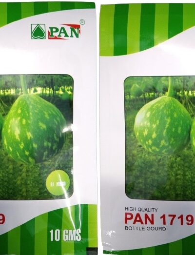 pan 1719