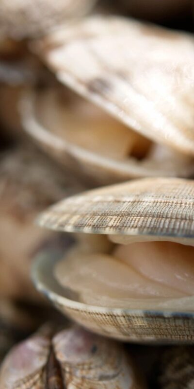 Aquaculture Fish Feed