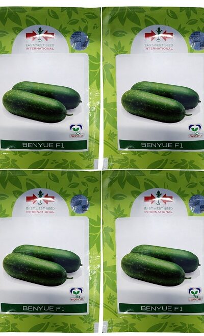 Benyue F1 Hybrid Seeds